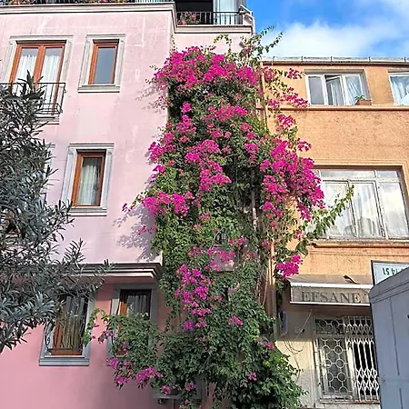 Agora Hotel 3*